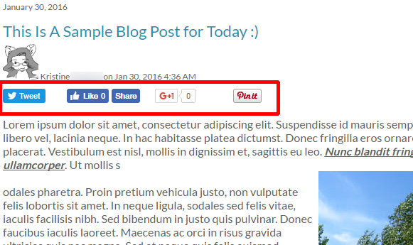 Social media share buttons on your blos posts