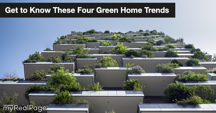 Get to Know These Four Green Home Trends