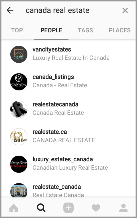 Sample search for Canada real estate businesses in Instagram