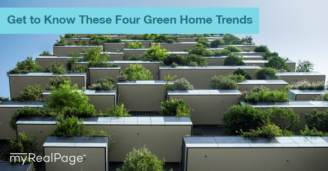 Get to Know These Four Green Home Trends